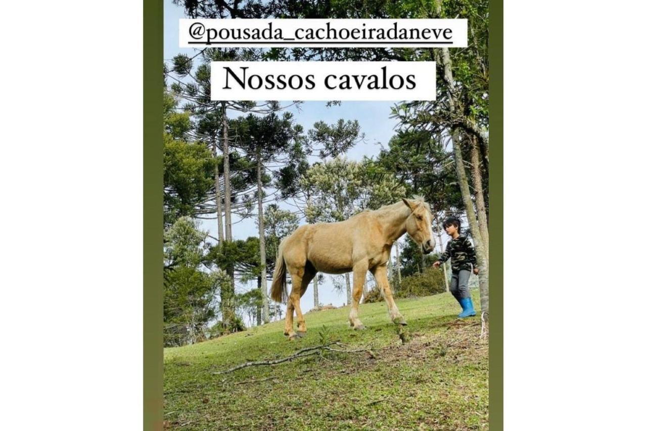 Floresta Secreta- Pousada Cachoeira Da Neve ウルビシ エクステリア 写真