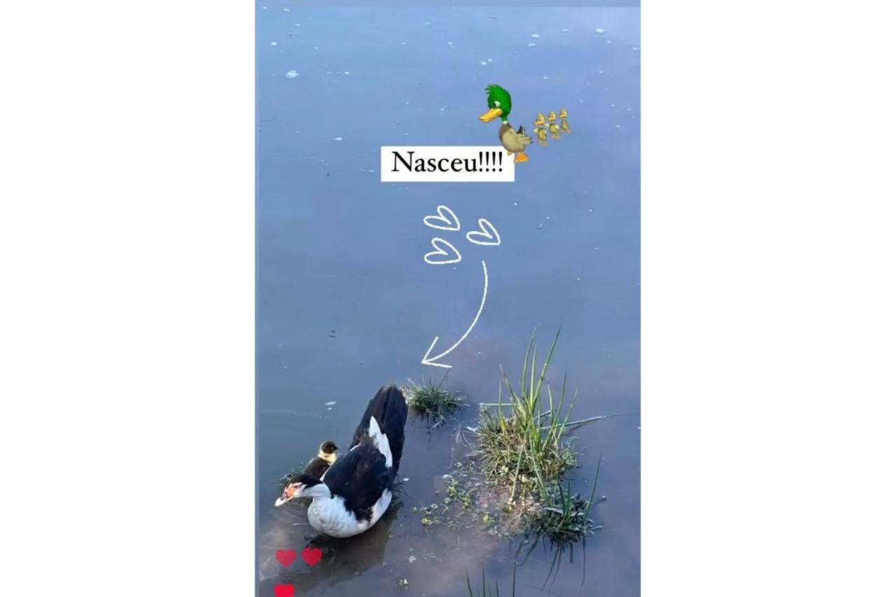 Floresta Secreta- Pousada Cachoeira Da Neve ウルビシ エクステリア 写真