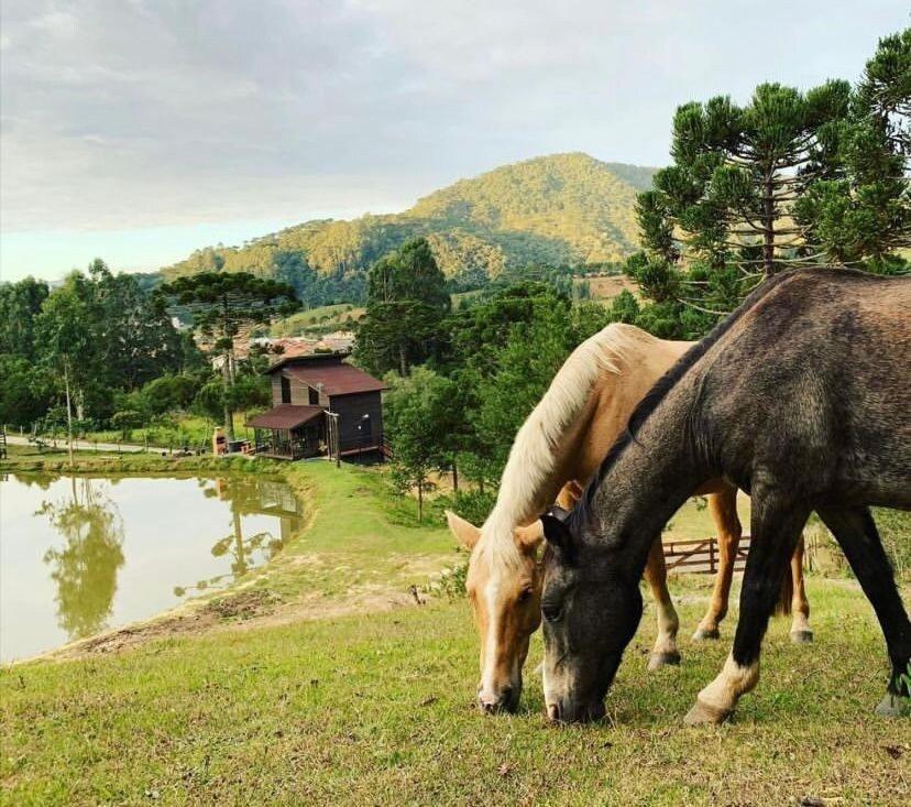 Floresta Secreta- Pousada Cachoeira Da Neve ウルビシ エクステリア 写真