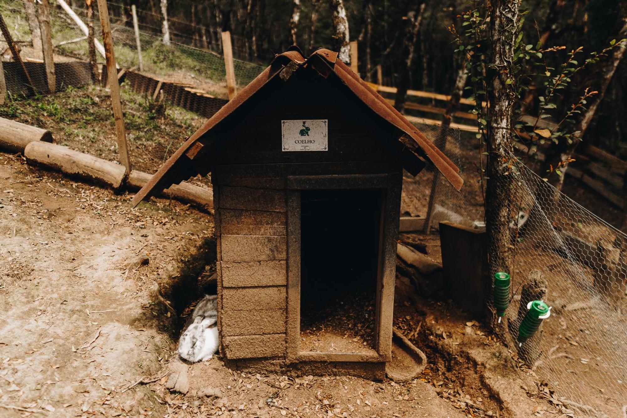 Floresta Secreta- Pousada Cachoeira Da Neve ウルビシ エクステリア 写真