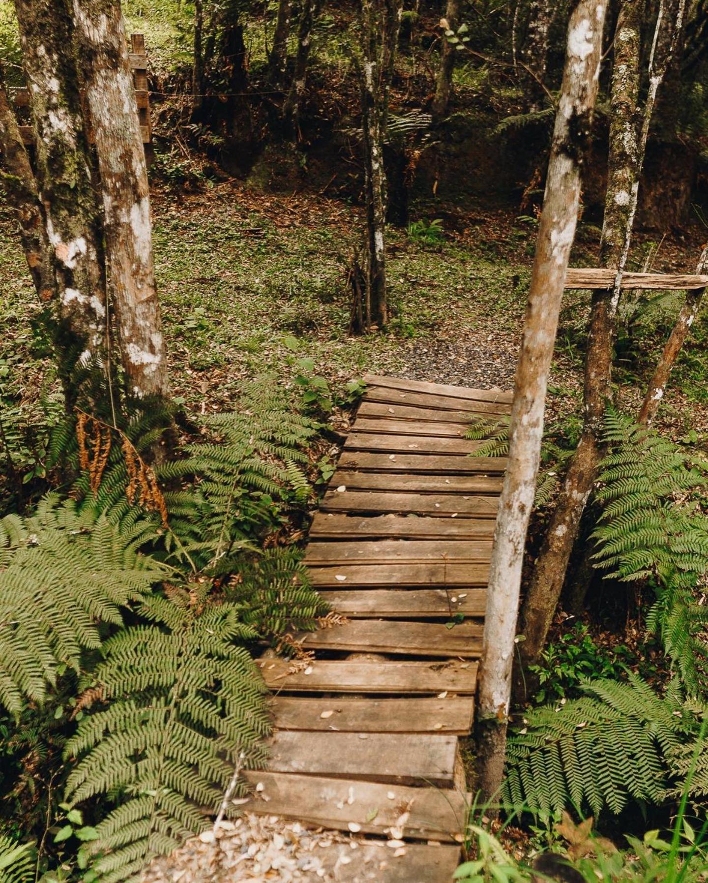 Floresta Secreta- Pousada Cachoeira Da Neve ウルビシ エクステリア 写真